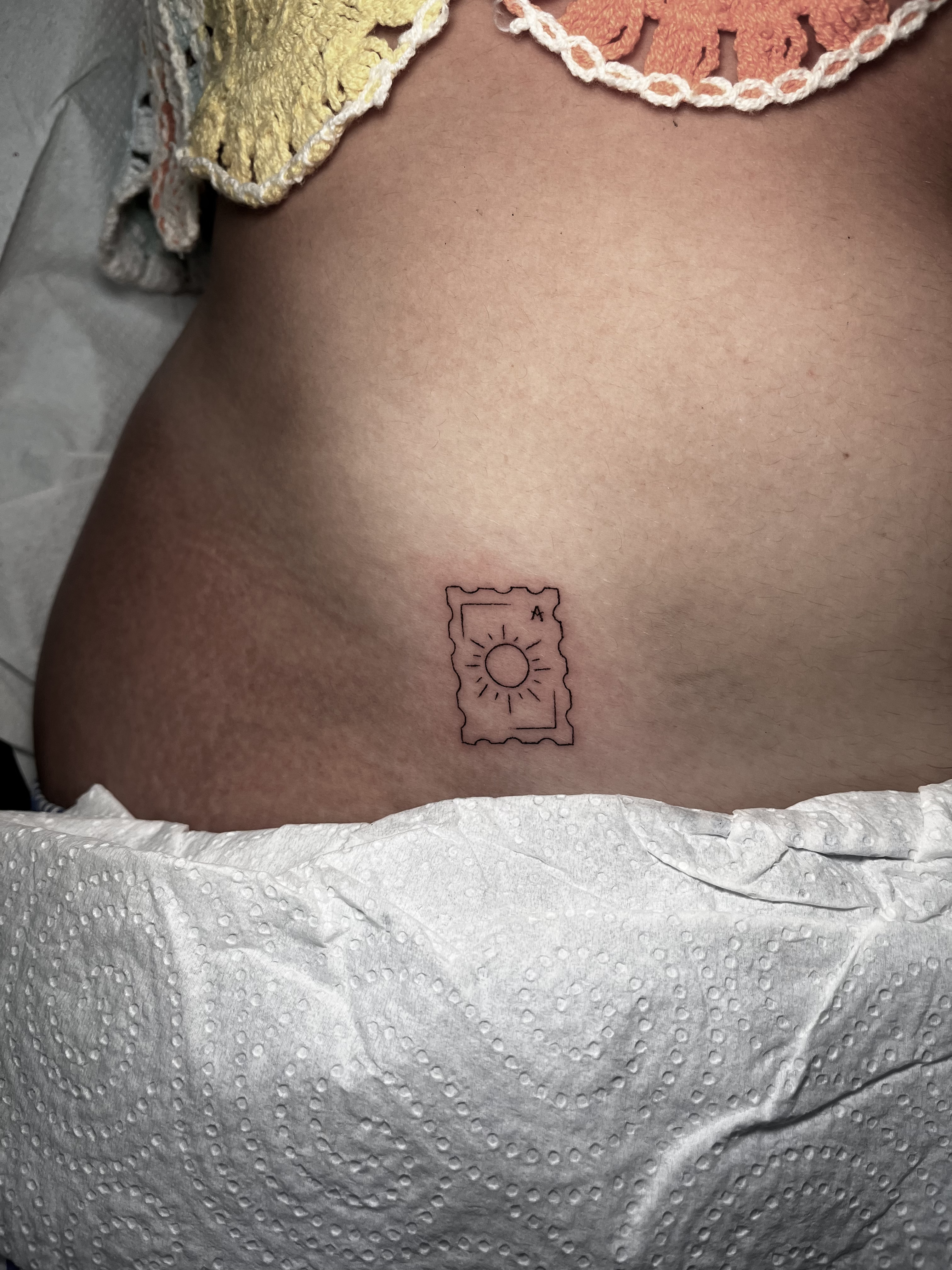 Fineline botanical illustration